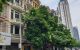 thum-m_PugFHNkmtW_1632454671.jpg