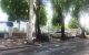 thum-m_UQrzICdXHu_1632445563.jpg