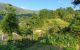 thum-8149621_Zmk2LzvIAl_1632539938.jpg