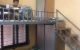 thum-8150012_OW8l1Vxcim_1632561631.jpg