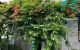 thum-8150606_iy4wpMdcKx_1632618461.jpg