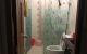 thum-8150723_QtpMmGF0qc_1632636570.jpeg
