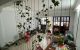 thum-8150723_nKfOGReF6H_1632636562.jpeg