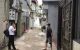thum-m_zNBhLJinGp_1632659103.jpeg