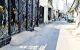 thum-8151903_MQBJNxYCyf_1632726228.jpg