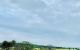 thum-8151935_5eYjSQ3r8H_1632729313.jpg