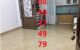 thum-8152674_gfFQCpxaLA_1632789261.jpg