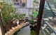 thum-8153012_OM3dUoPBcx_1632799399.jpg
