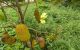 thum-m_CiaBxwQ0Py_1632789922.jpg