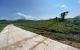 thum-8154052_HSRUNku3AI_1632874202.jpg