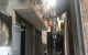 thum-8154089_dq52oSpQjP_1632876702.jpg