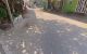 thum-m_w5GJBrZLgt_1632872691.jpeg