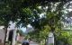 thum-8156309_26nh5L8ApQ_1632979694.jpg