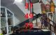 thum-8156637_hJvXPFWt02_1633011410.jpg