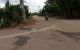 thum-m_Qt03S72caV_1632998770.jpg