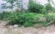 thum-8157185_bEMq0oO39j_1633052804.jpg