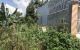 thum-8159001_ZgGQuBatv5_1633141787.jpeg