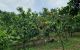 thum-8159534_uho746UgzN_1633160562.jpg