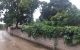 thum-8159740_B14A0agi8j_1633168326.jpg