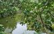 thum-8159774_1pex2CFBac_1633169145.jpg