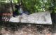 thum-m_sZOzdPTcE8_1633192855.jpg