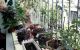thum-8160400_smrQSplVot_1633216125.jpg