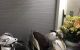 thum-8160488_zRDdagO8Y1_1633221729.jpg