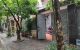 thum-8160852_wP80gqezRn_1633233018.jpg