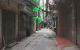 thum-m_4XSdK709Lt_1633355584.jpg