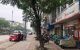 thum-m_HobYRCav4B_1633354583.jpg