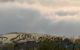 thum-m_P4Zrzkh5b7_1633424906.PNG