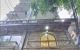 thum-m_dx3L5D1cfp_1633506653.jpg