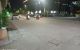 thum-8167734_qx7cPNYQv0_1633576114.jpg