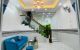 thum-8167753_NZTz5JVe6y_1633576534.jpg