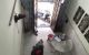 thum-8168035_rXtGDn7o3R_1633586008.jpg