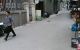 thum-8168917_uOQqv40GzX_1633616862.jpg