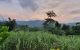 thum-8168987_uel42pBKcw_1633623322.jpg