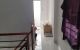 thum-8169280_yXrO2eRhZf_1633649279.jpg