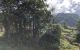 thum-8170109_bg5AFyEs0e_1633677506.jpg