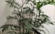thum-8172354_1Lcen3uAtJ_1633791046.jpg