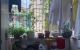thum-8173182_jNc0WCRBvz_1633841018.jpg