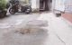 thum-8173819_GbiZBRktc6_1633875119.jpg