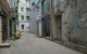 thum-m_dZvTntacSP_1633861406.jpg
