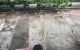 thum-8175163_VTmzjBwPls_1633945618.jpg