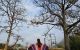 thum-8175199_4qwfNuFVBs_1633946426.jpg