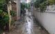 thum-8175617_4IBRHU2zFj_1633964544.jpg
