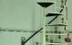 thum-8176999_LNiqernZ7v_1634025057.jpg