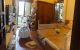 thum-m_kdAlanUrox_1634048173.jpg