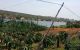thum-8179070_pvbnmoIOdx_1634116397.jpg
