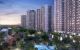 thum-8179146_mi4by1WHKu_1634119512.jpg